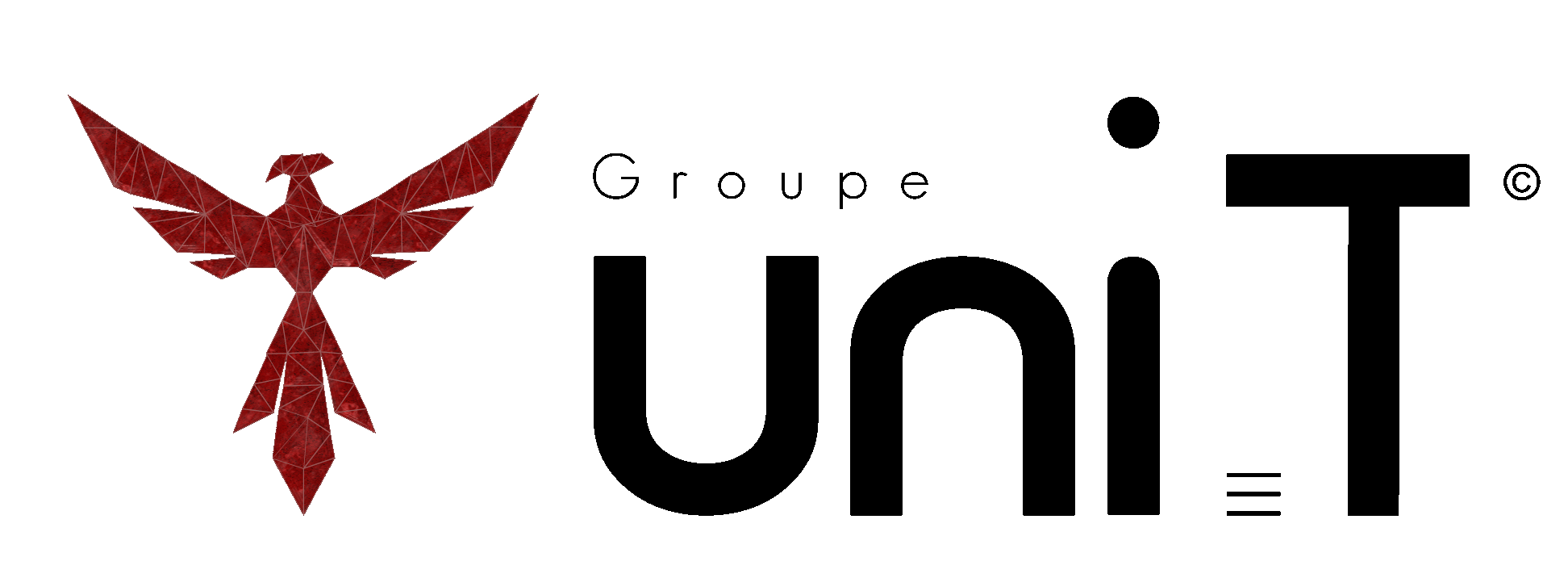 Logo uniT groupe
